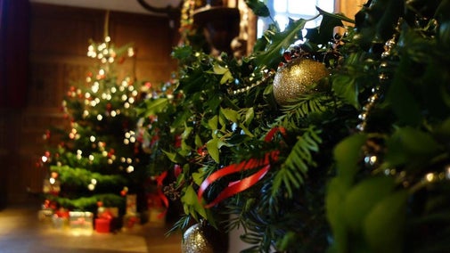 Christmas tree and decorations in Oak Hall at Sheffield Park and Garden